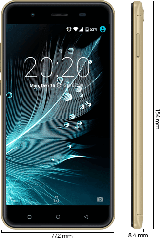 Fero Royale Y2 dimensions