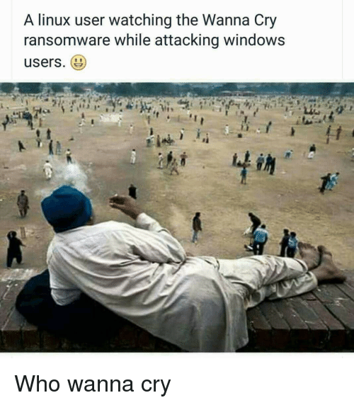 Meme about malware affecting Windows users and not Linux users